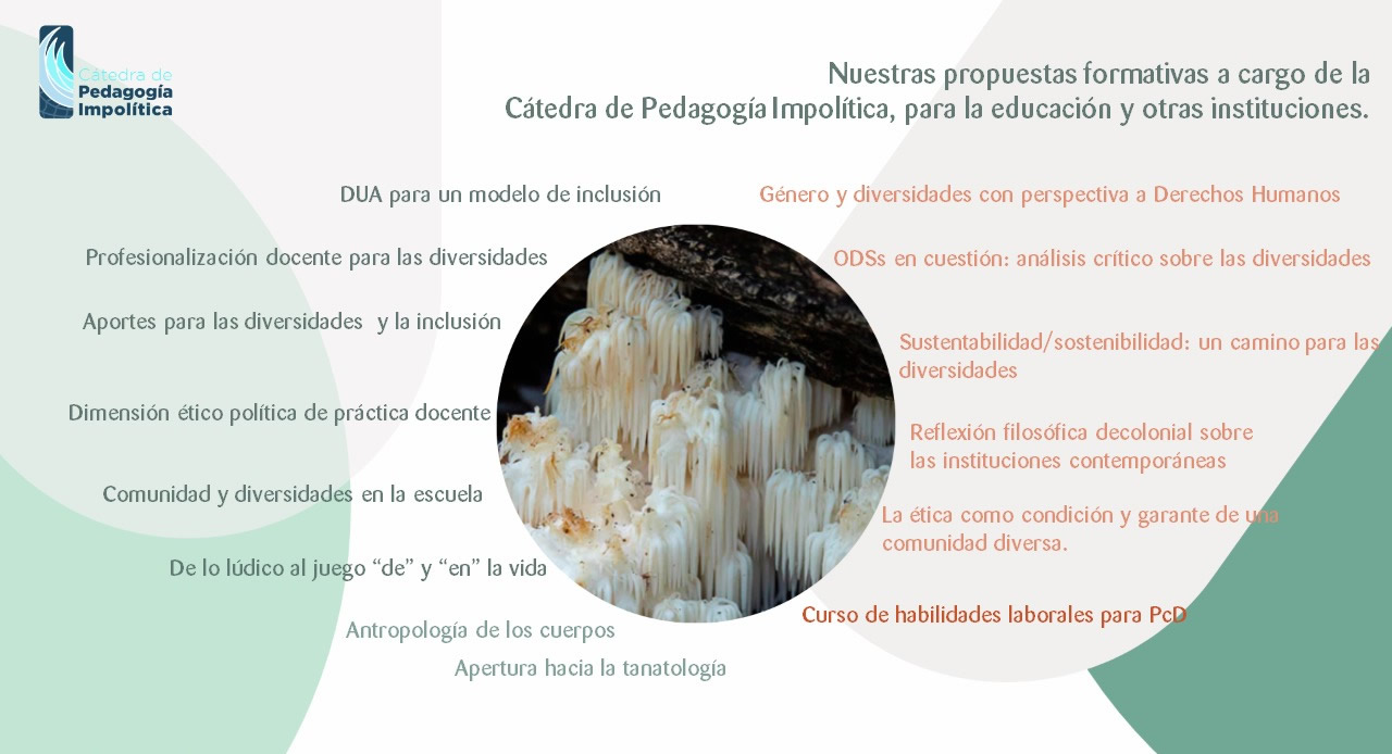 Cursos de Pedagogia Impolitica